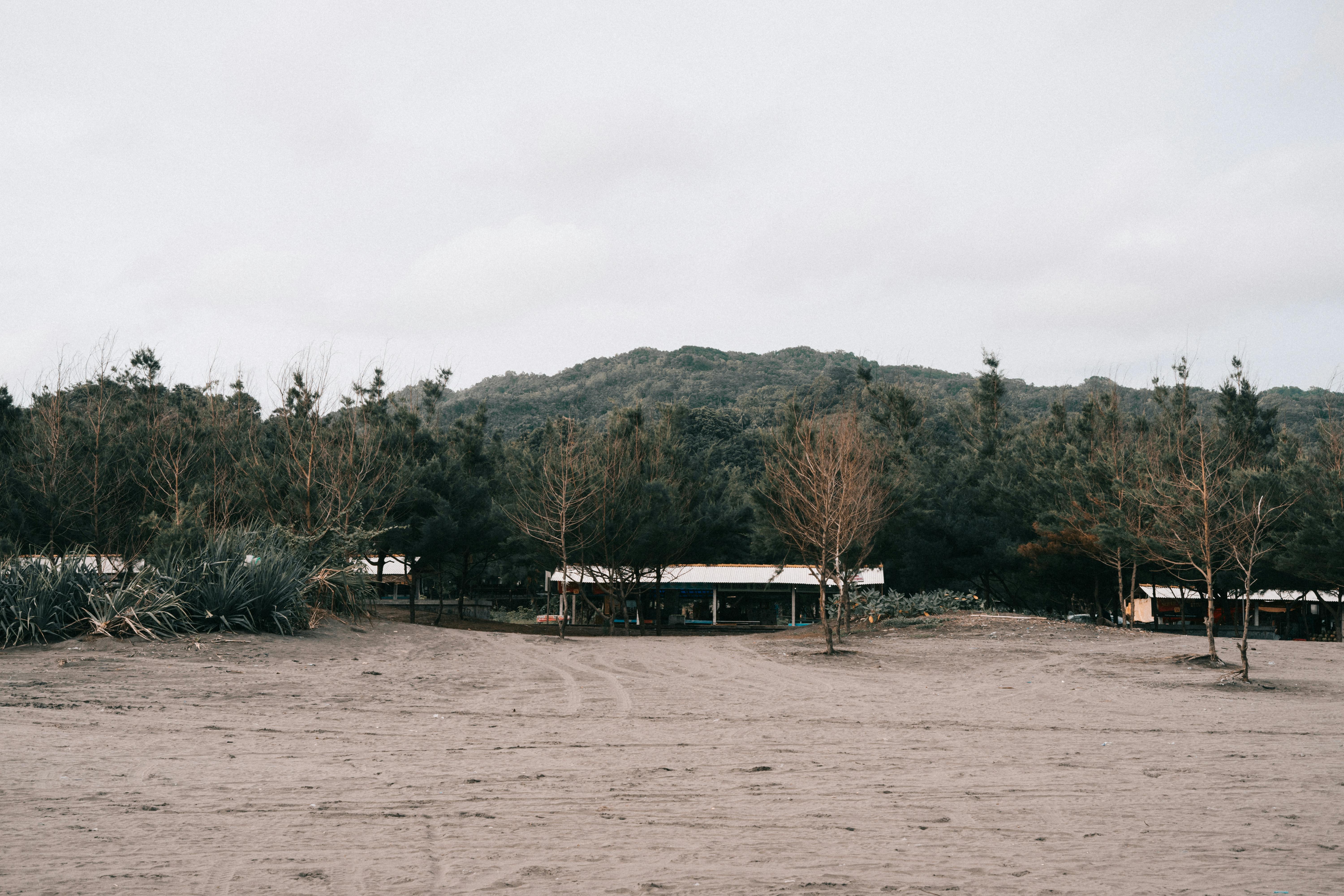 bungalow images